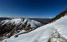 Ben Lomond Track