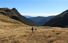 Rough Creek Track