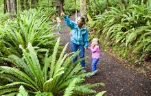 Walking and tramping: things to do