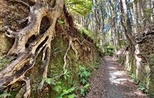 Long Hilly (Round Hill) Walking Track