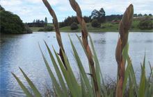 Hawksbury lagoon and beach walk