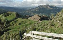 Mangaone Caves Track