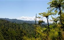Karangahake Gorge Historic Walkway