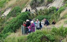 Bushy Beach Track