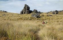 Obelisk Loop Track