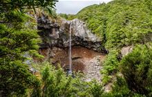 Mangawhero Falls Walk