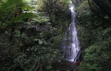 Maude Track to Mangakotukutuku Falls