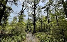 Glentui Loop Track