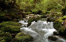 Duffy Creek Route