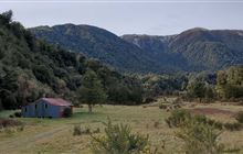 Taipo River Track to Harman Pass