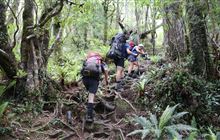 Roaring Stag Track