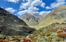 Otira Valley Track