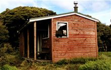 Manuoha Hut, hut in East Coast