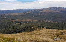 Cloustons Mine Track