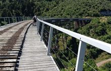 Ohakune Old Coach Road
