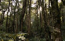 East Holdsworth Track