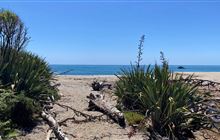 Monro Beach Track