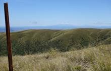 Rangiwahia Hut - Deadmans Track