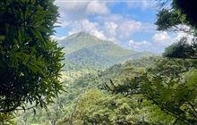 Te Aroha Summit Track