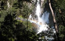 Tarawera Outlet to Falls Track