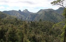 Moss Creek Track
