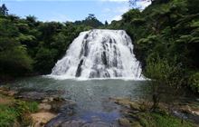 Owharoa Falls Track