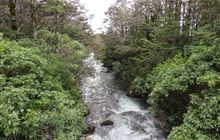 Whakapapanui Walk