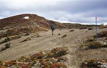 Umukarikari Track (to Waipakihi Hut)