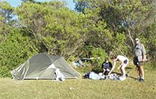 Tōtaranui Great Walk campsite