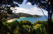 Mutton Cove campsite
