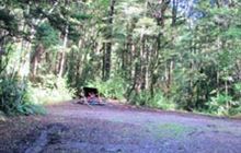 Kakapo Campsite