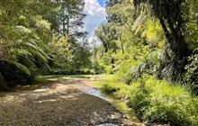 Waterworks Walk