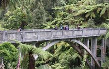 WHANGANUI NATIONAL PARK PLACES TO GO IN MANAWATU WHANGANUI visual data 4