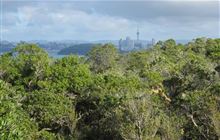 Rangitoto Island longer walks