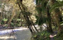 Smoothwater Bay Track