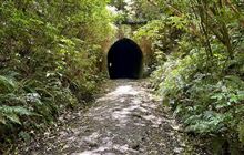 Historic Railway Tunnel Walk
