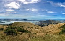 Te Ara Pātaka/Summit Walkway