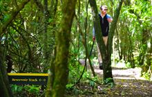 Talbot Forest Scenic Reserve tracks