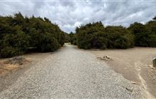 Hikuwai Link Track