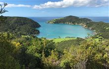 Whangamumu Track