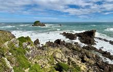 Cape Foulwind Walkway