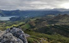Ōtepatotu Scenic Reserve walk