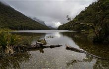 Routeburn Track: Lake Howden Track