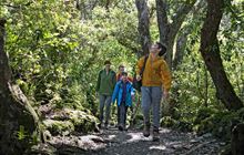 Short Walks: Walking and tramping