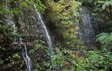 Thumbnail image for Barrs Falls (Barrs Falls Scenic Reserve)