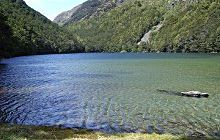 Lake Rere Walk