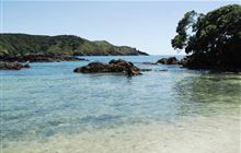 Maitai Bay Campsite