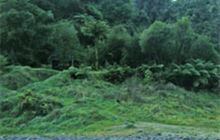 Ngaporo Campsite