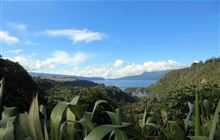 Tarawera Trail