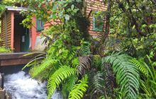 Dawson Falls Power Station Track